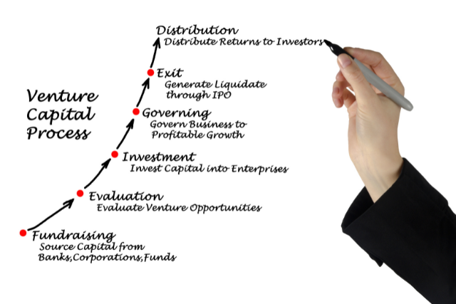 venture capital process